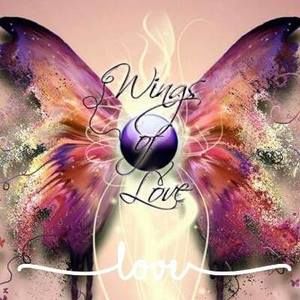 Meet your Posher, Anne